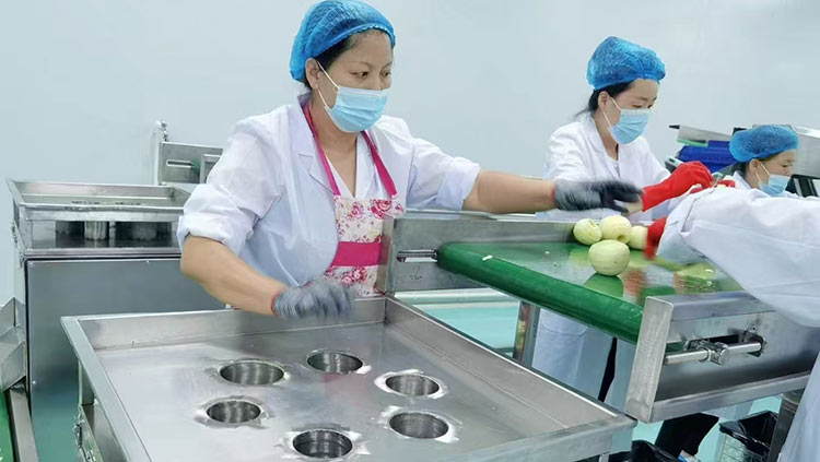 河南食品厂加工车间项目方案-(3000㎡)