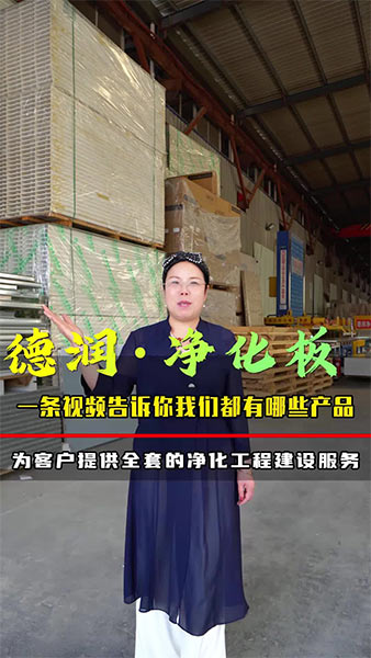 德润净化板-集研发、生产、施工为一体